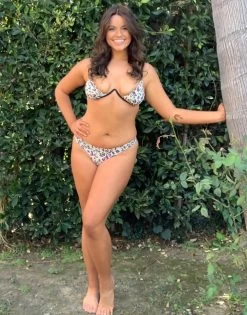 Austin Underwire Top - Multi Leopard -Chic Mode Shop B21117T9 B12105B0 MLEO 3 1c864202 9dd4 49d0 bda6 2d81ea0f03b0