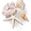 Reese Scrunchie - Nude/Ivory -Chic Mode Shop REESE SCRUNCHIE NDIV 1
