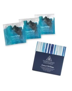 Soothing Coconut Oil Wipes (5 Travel Pack) By Conscious Coconut - Aqua